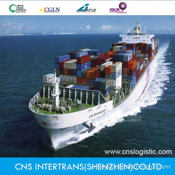 Shipping From Shenzhen/Guangzhou/Shanghai/Ningbo to Santos, Vitoria, Rio De Janeiro